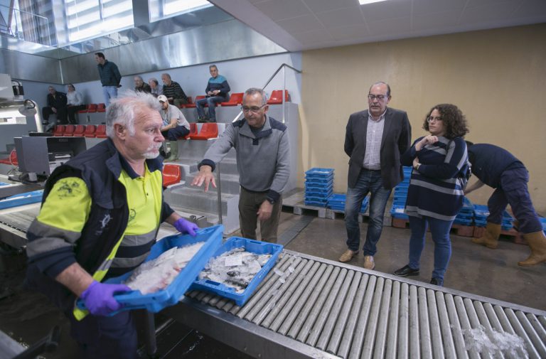 Confinat o en quarantena, menja peix fresc