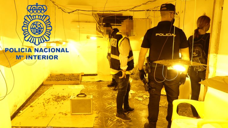 Desmantelado un laboratorio de cultivo de  marihuana; cuatro detenidos