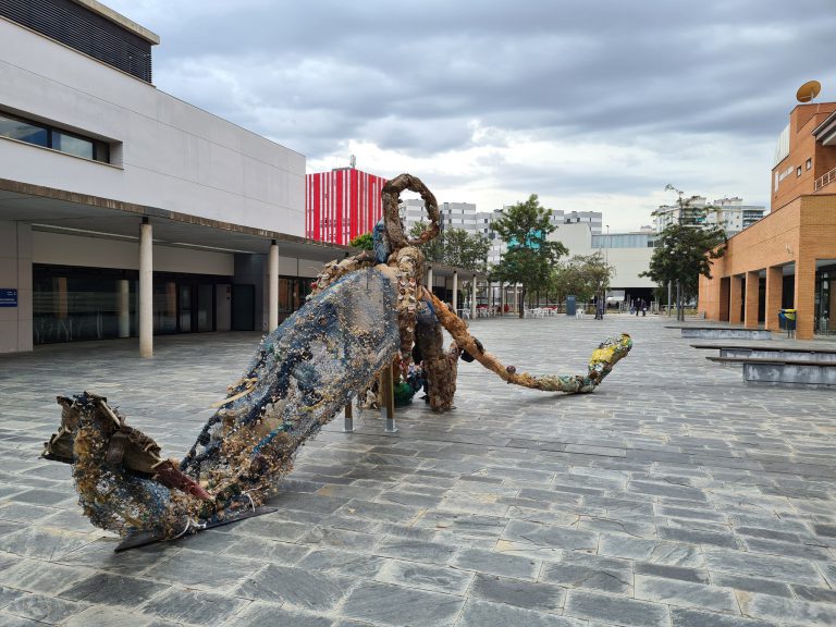 El Campus de Gandia se despierta con una escultura de 350 kilos de basura marina