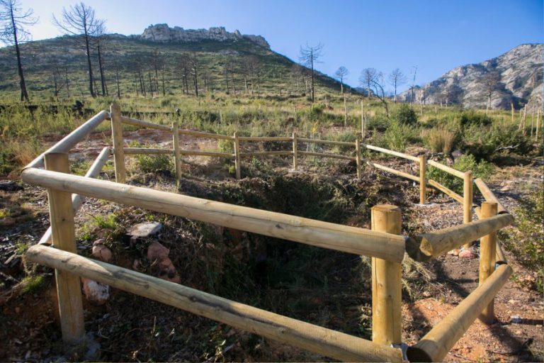 Marxuquera se regenera tras el incendio de 2018