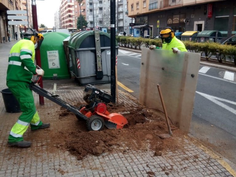 reposición árboles gandia