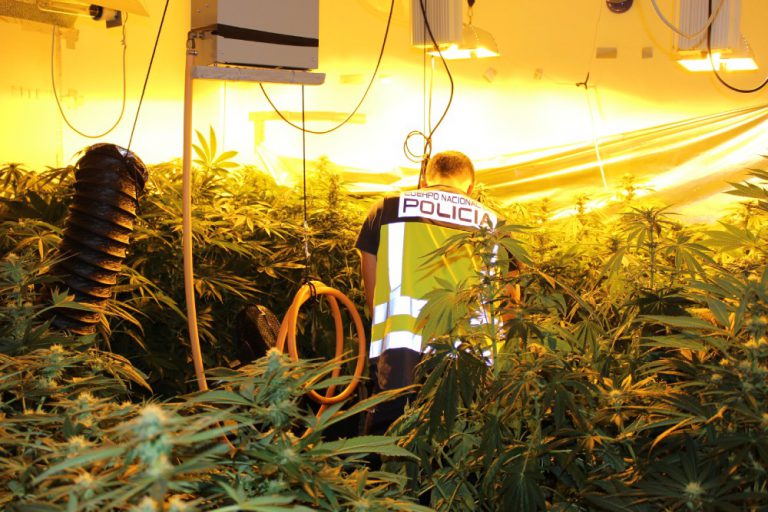 laboratorio marihuana gandia