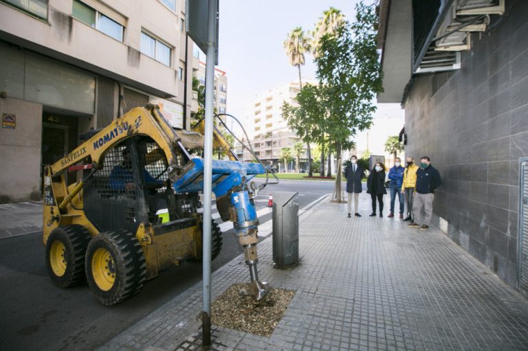 Gandia plantación árboles