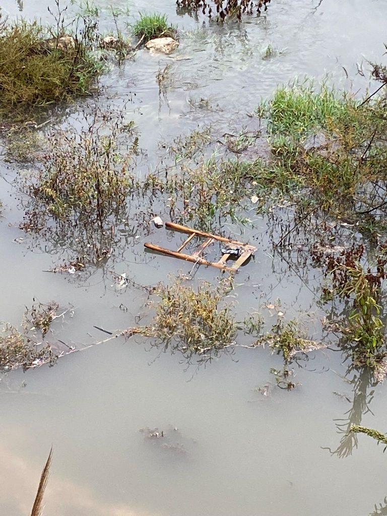 Renolt denuncia el estado del cauce del río Serpis