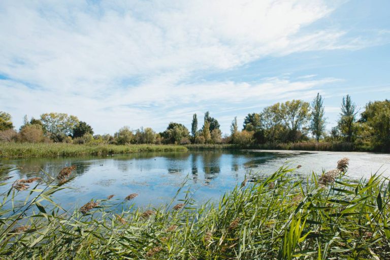 Compromís més Gandia unida en contra del macro càmping en la Marjal