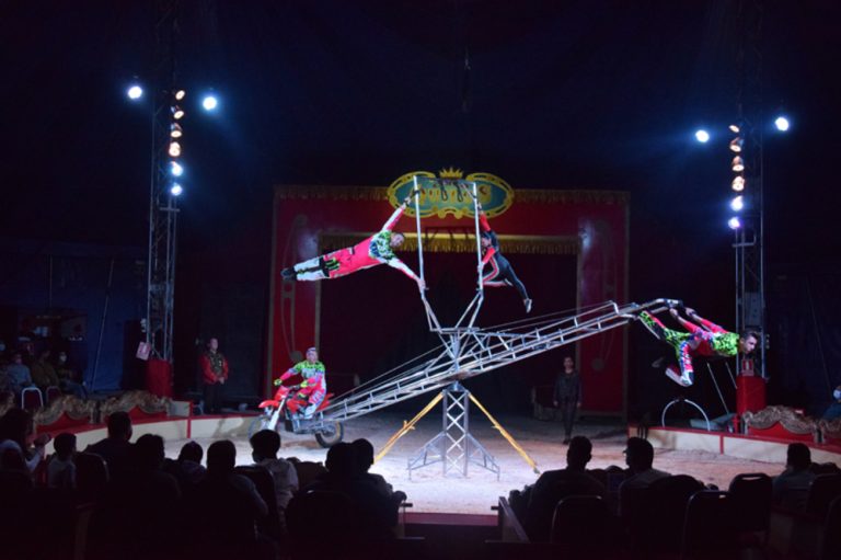 El Circo Quirós se instala en Gandia hasta el 19 de junio