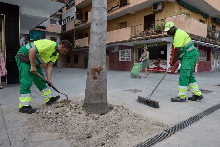 Gandia incrementa el arbolado de la República Argentina