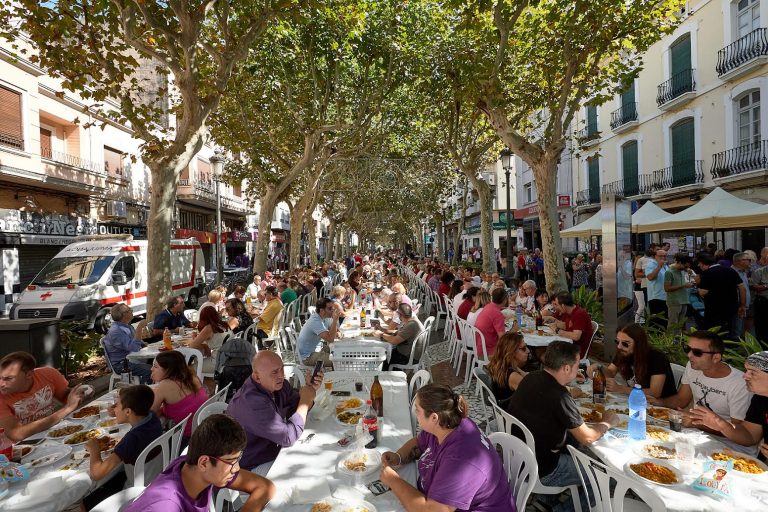 Día del Cofrade de la Semana Santa de Gandia: de vuelta al Paseo Germanias