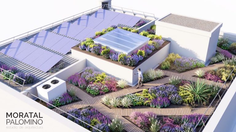 La remodelación del Marcelino Pérez comenzará en junio