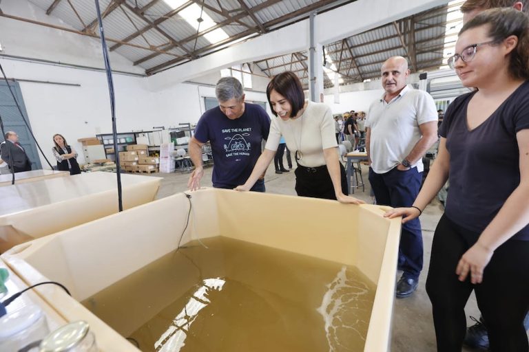 Gandia albergará un nuevo centro del IEO-CSIC con una inversión de 16 millones de euros