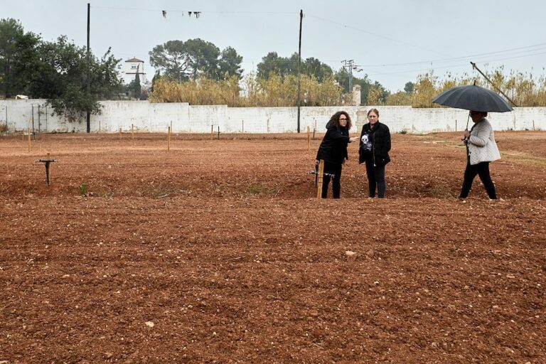 Los huertos sociales de Santa Anna ya tienen dueño