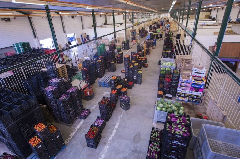 El Mercado de Abastos de Gandia «renace» tras años de incertidumbre