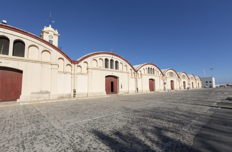 El puerto de Gandia, de camino a ser «referente en Europa»