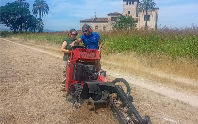 Gandia recibe una subvención de 824.292 € para el Taller de Empleo «Parques Periurbanos: Barrio Marítimo»