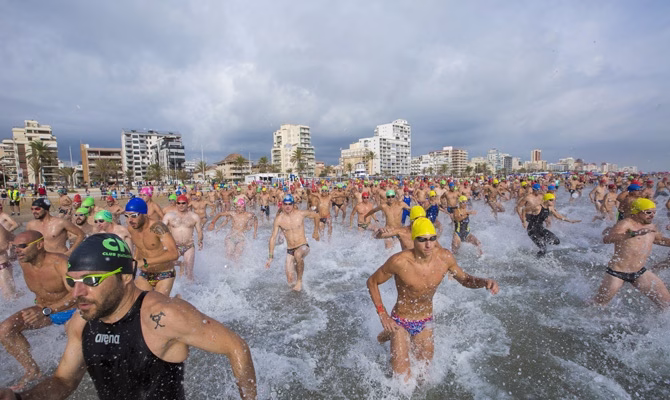 Gandia acogerá el 15 de agosto la LXXI Travessia al Port y la XXII Volta a l’Escullera Nord