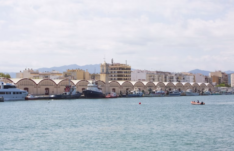 Curso de marinero pescador en Gandia: nueva formación con plazas limitadas