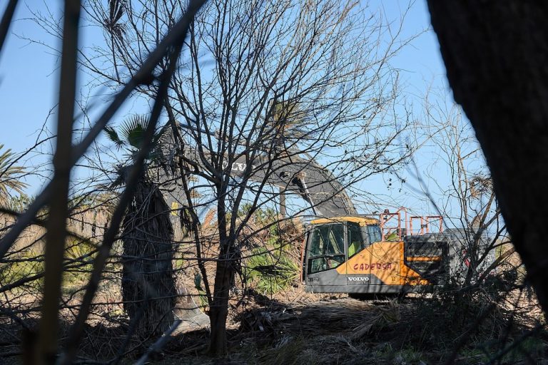 Comienza la recuperación dunar de la playa del Auir